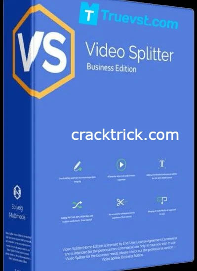 SolveigMM Video Splitter Business Crack